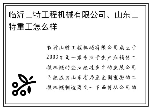 临沂山特工程机械有限公司、山东山特重工怎么样