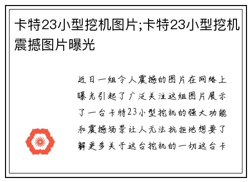 卡特23小型挖机图片;卡特23小型挖机震撼图片曝光